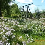 Maison Independante De Montagne En Alsace Casa de Férias *