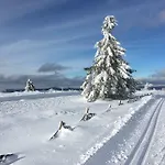 Maison Independante De Montagne En Alsace Holiday home *