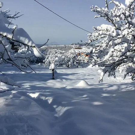 Hébergement de vacances Maison Independante De Montagne En Alsace Bellefosse