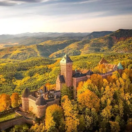 Maison Independante De Montagne En Alsace ベルフォス