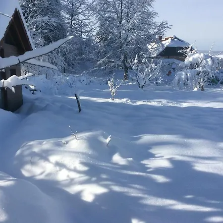 Holiday home Maison Independante De Montagne En Alsace *