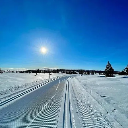 Maison Independante De Montagne En Alsace *