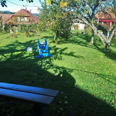 Maison Independante De Montagne En Alsace ベルフォス