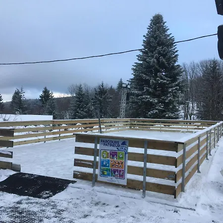 Maison Independante De Montagne En Alsace ベルフォス