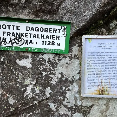 Maison Independante De Montagne En Alsace Hébergement de vacances