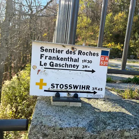 Maison Independante De Montagne En Alsace 別荘 ベルフォス