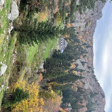 Maison Independante De Montagne En Alsace Bellefosse