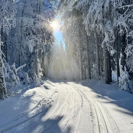別荘 Maison Independante De Montagne En Alsace