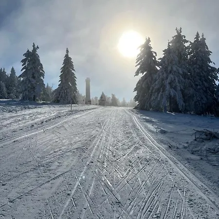 Maison Independante De Montagne En Alsace ベルフォス