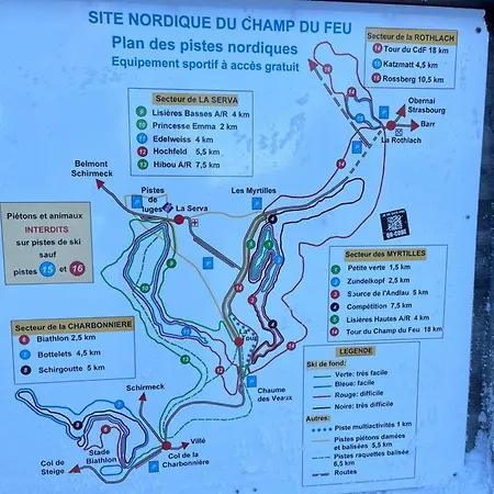 Maison Independante De Montagne En Alsace 別荘 ベルフォス
