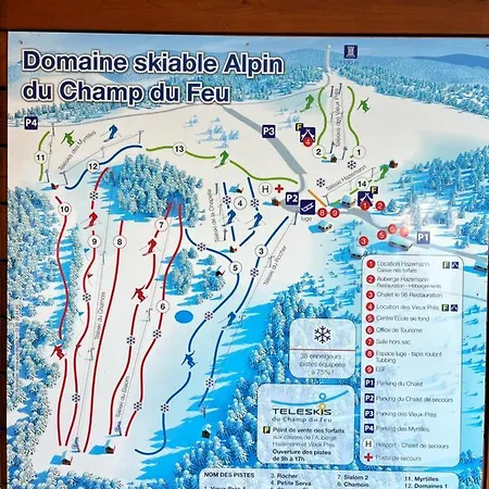 別荘 Maison Independante De Montagne En Alsace ベルフォス