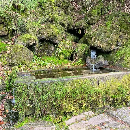 Semesterbostad Maison Independante De Montagne En Alsace *