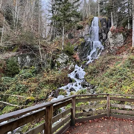 Maison Independante De Montagne En Alsace 別荘 ベルフォス