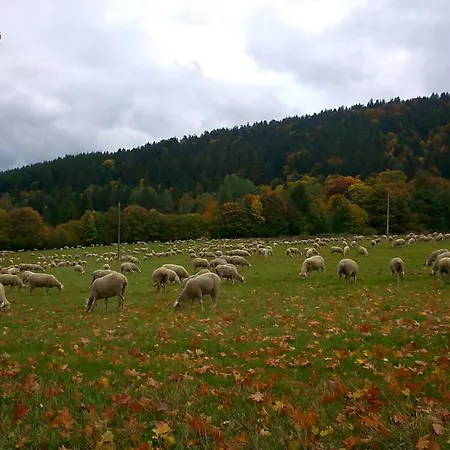 Maison Independante De Montagne En Alsace Hébergement de vacances