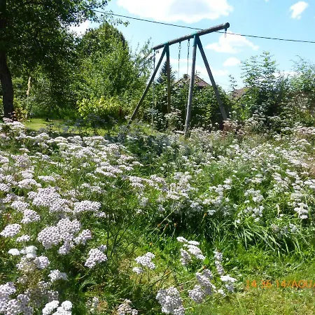 Maison Independante De Montagne En Alsace Hébergement de vacances *