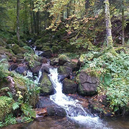 Maison Independante De Montagne En Alsace Hébergement de vacances *