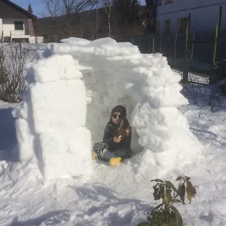 Hébergement de vacances Maison Independante De Montagne En Alsace