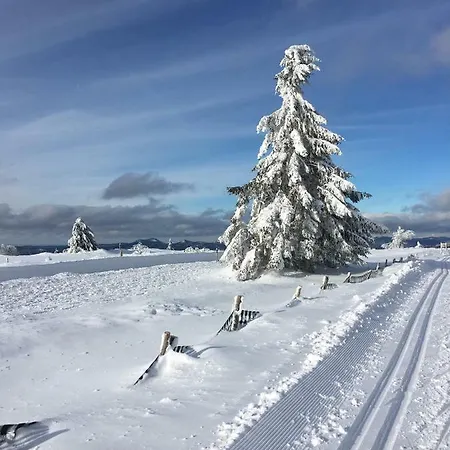Maison Independante De Montagne En Alsace 度假居 *
