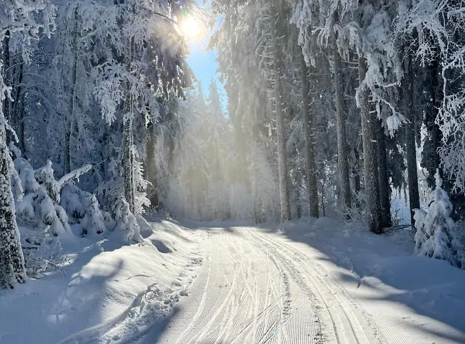 Сasa de vacaciones Maison Independante De Montagne En Alsace