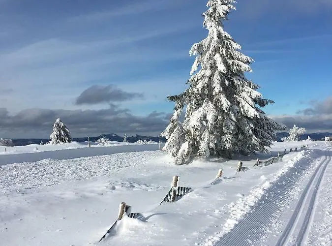 Maison Independante De Montagne En Alsace Сasa de vacaciones *